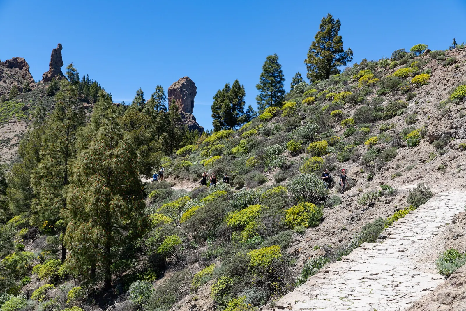 Roque Nublo hike