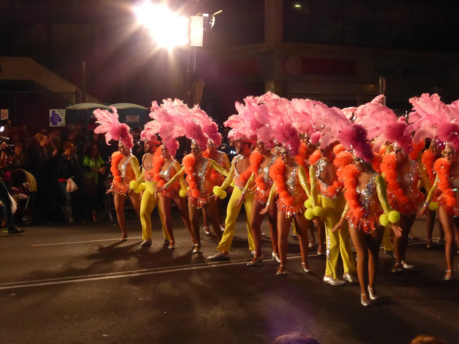 Carnival of Santa Cruz de Tenerife