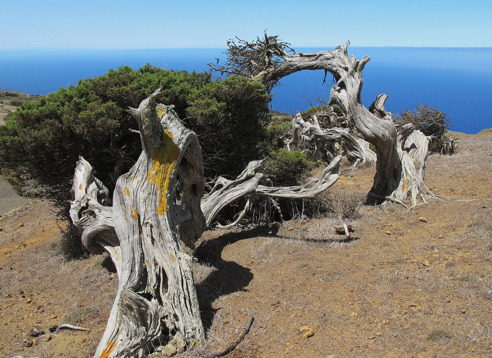 El Hierro