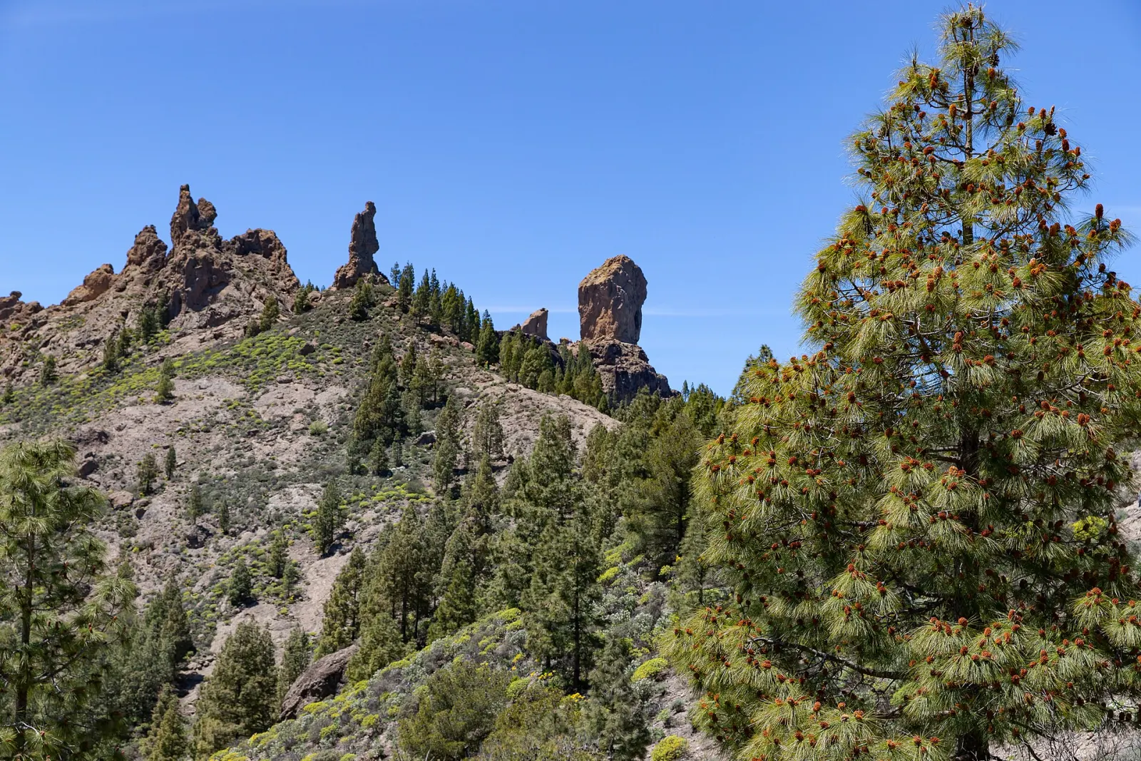 Gran Canaria