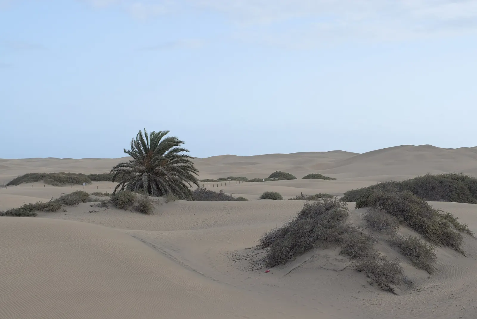 Gran Canaria