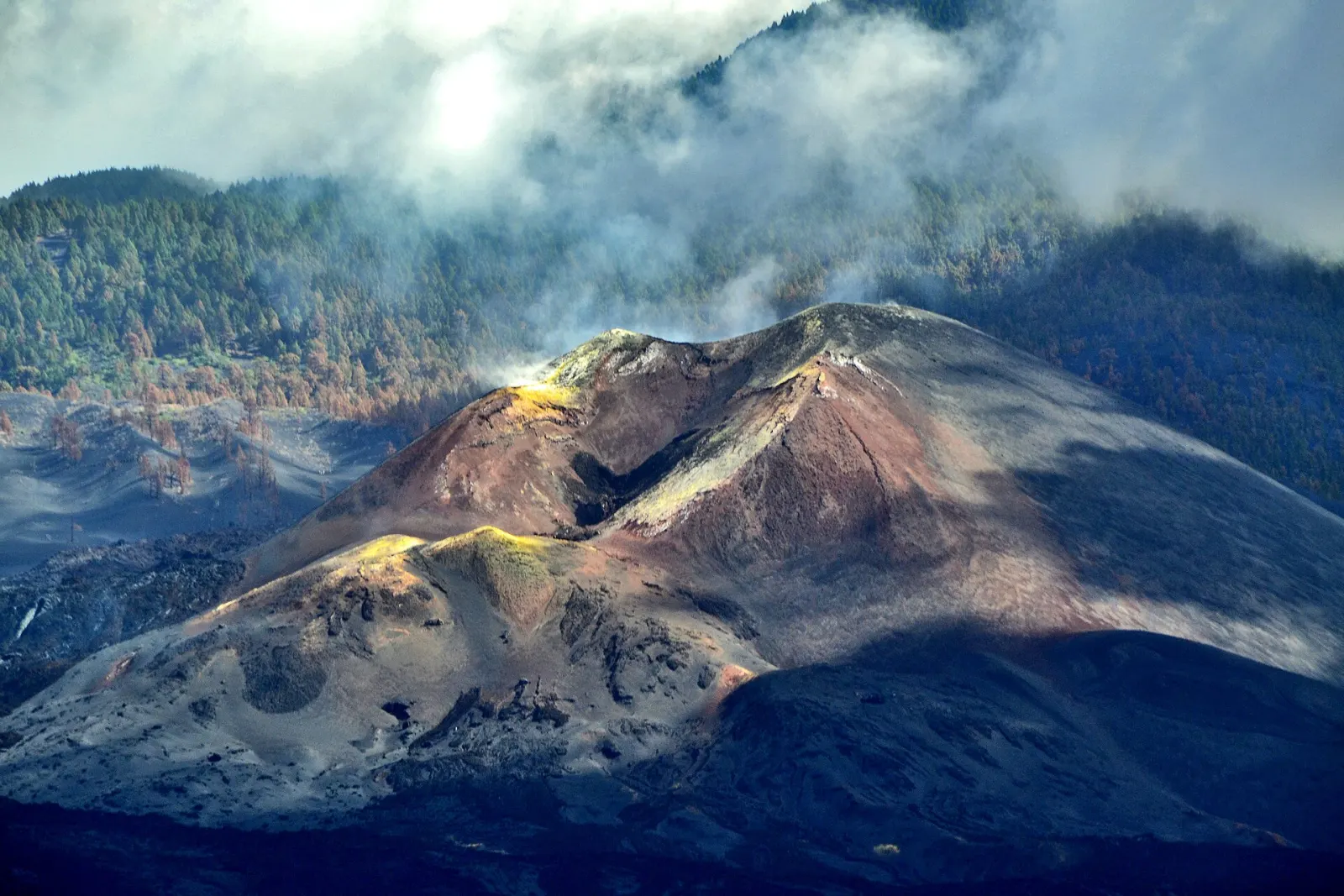 La Palma