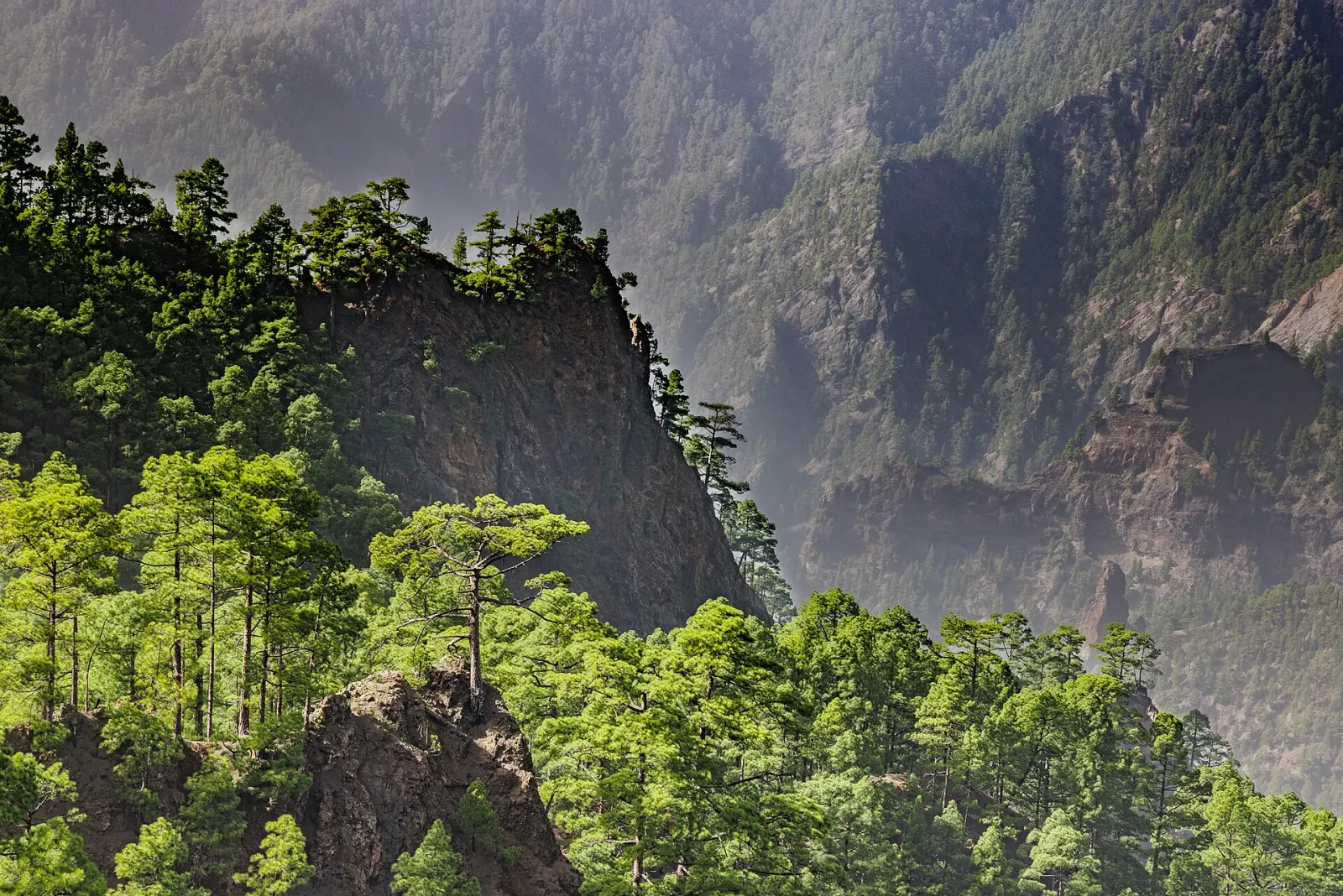 Caldera de Taburiente National Park