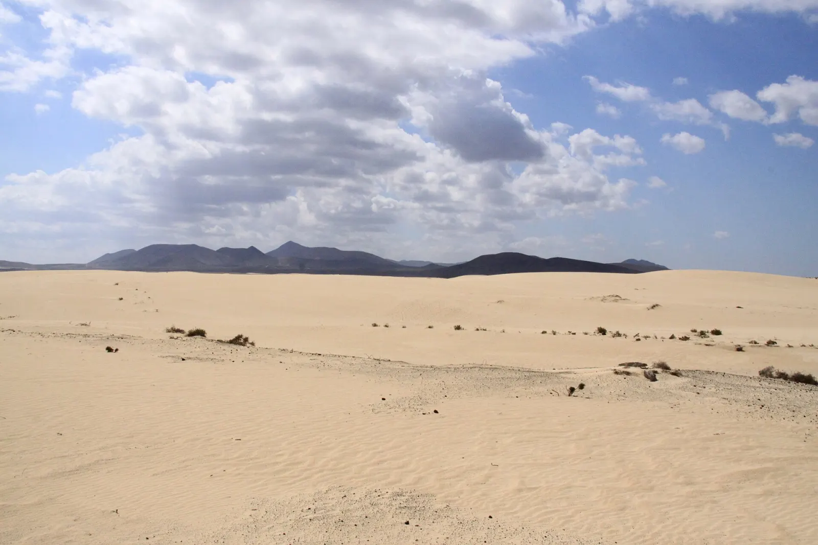 Corralejo Dunes