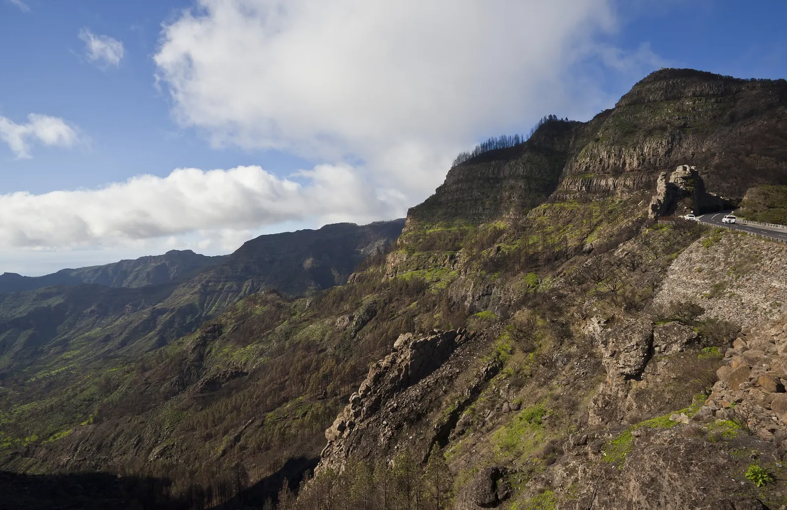 Garajonay National Park
