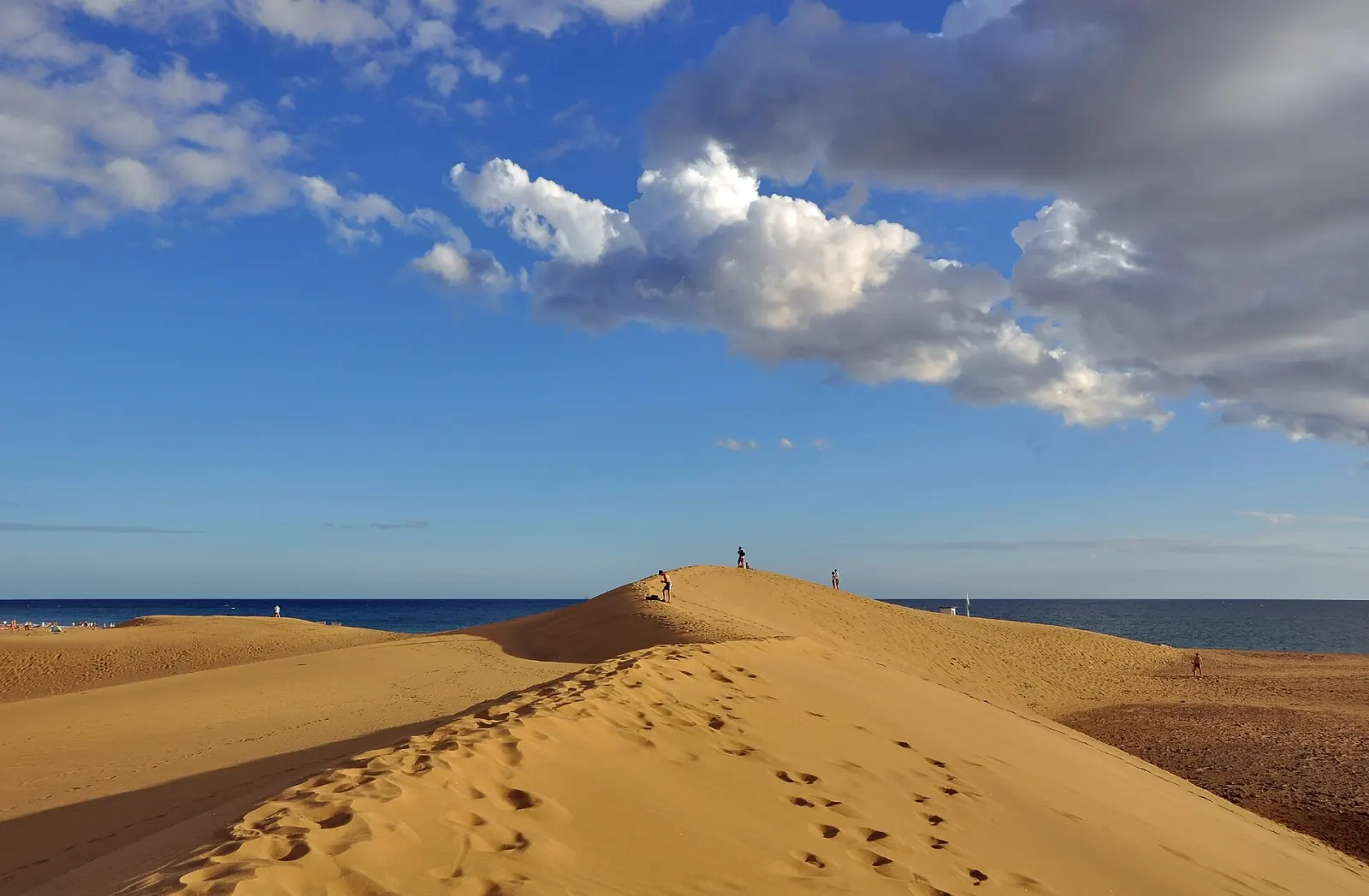 Maspalomas Dunes