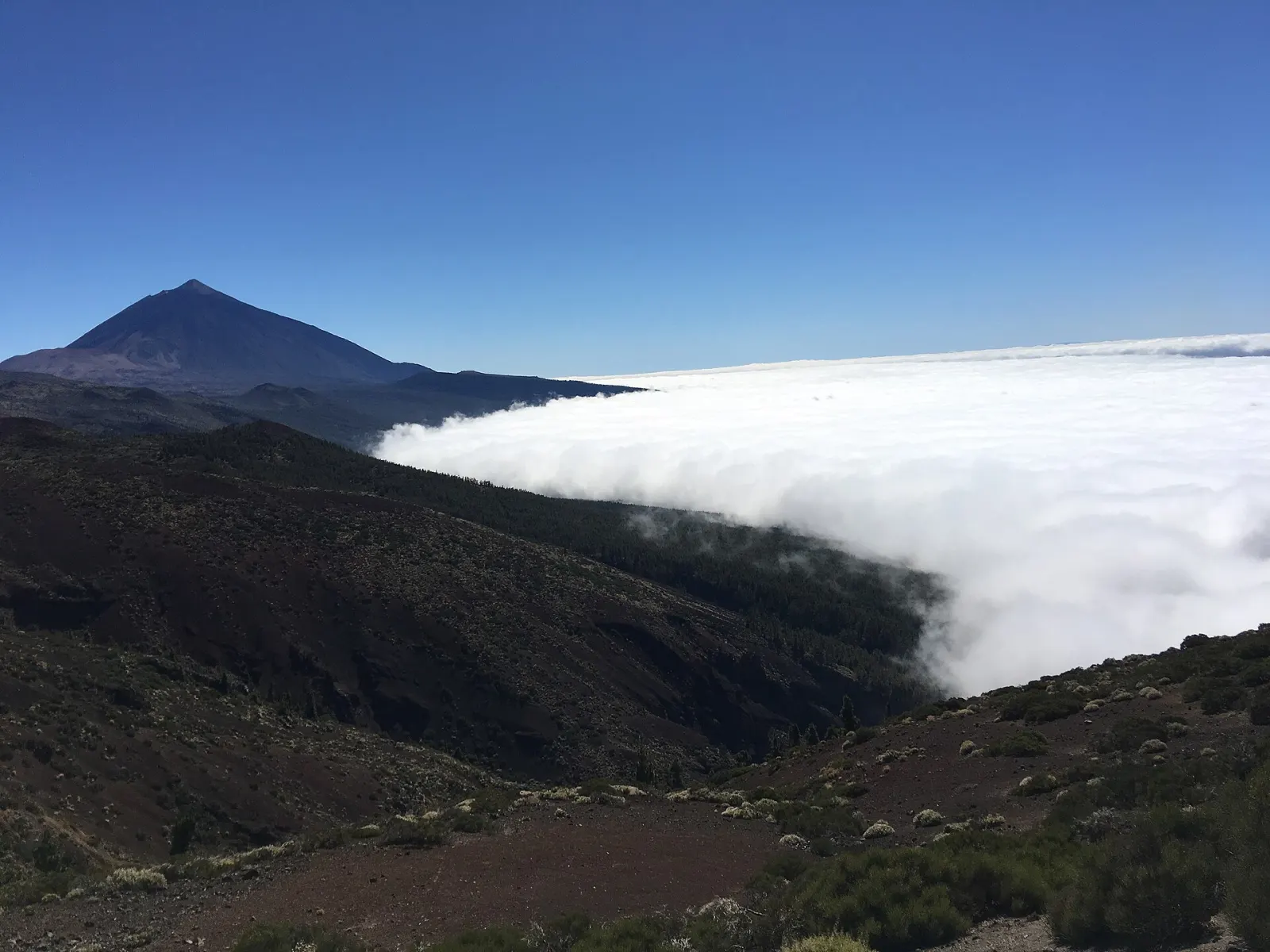 Canary Islands weather by month: what the climate data says