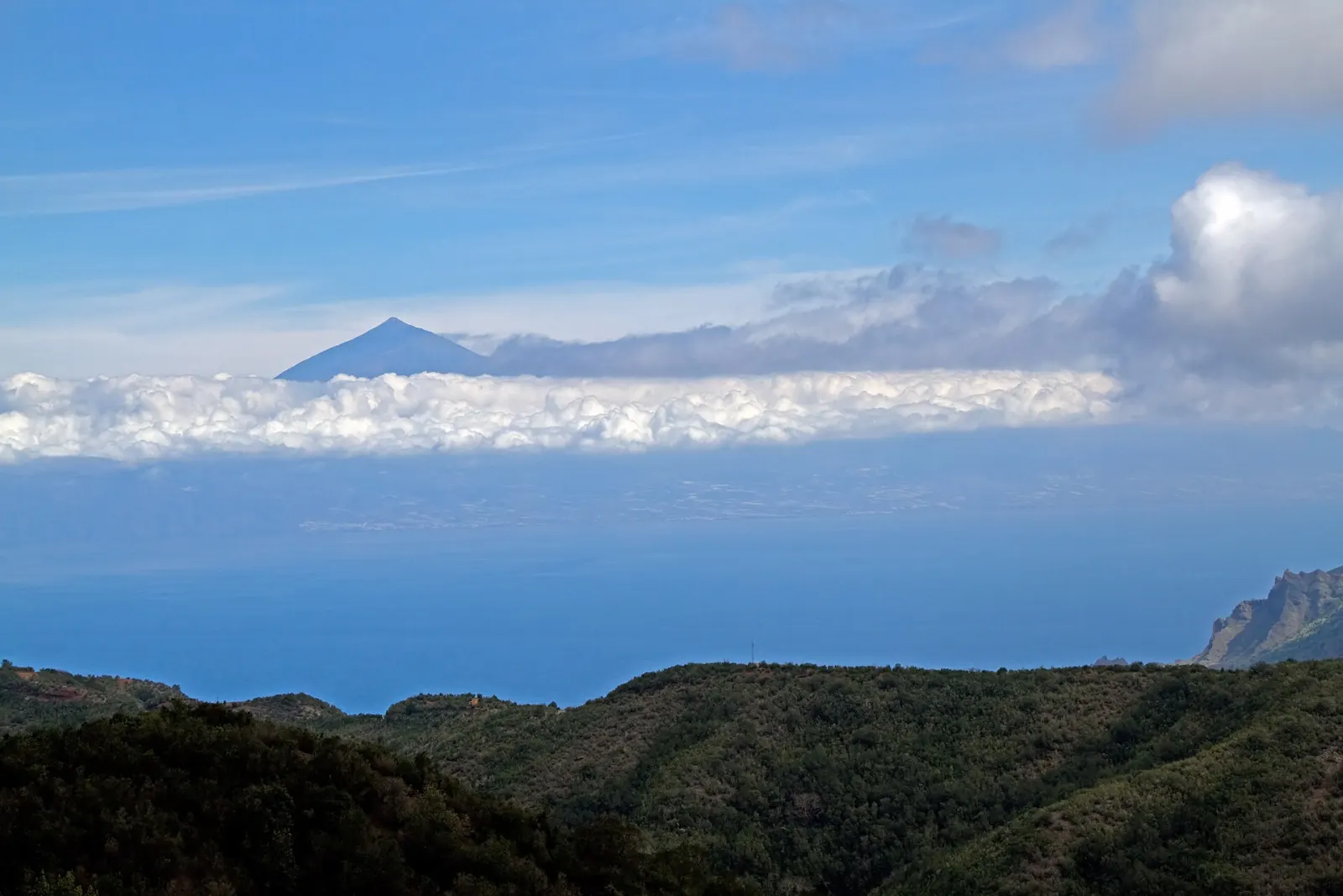 Which Canary Island is right for you? An honest comparison of all eight